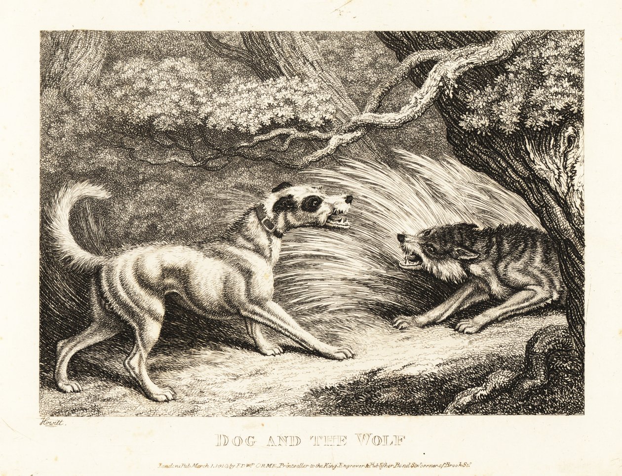 Un perro doméstico con collar ofrece comida a un lobo hambriento. 1811 (grabado) de Samuel Howitt