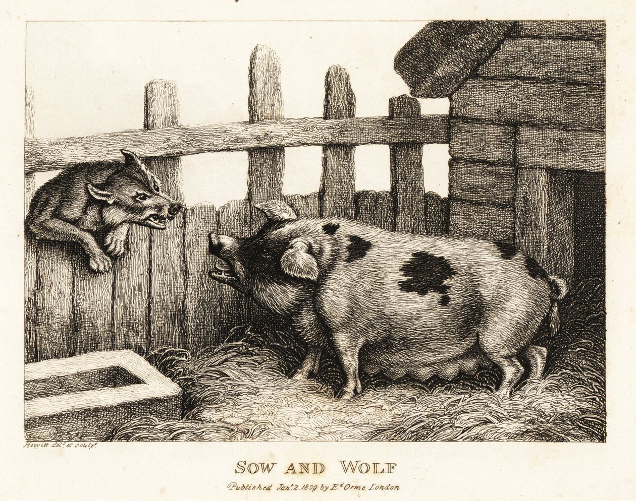 Una cerda grande en una pocilga gruñendo a un lobo. 1811 (grabado) de Samuel Howitt