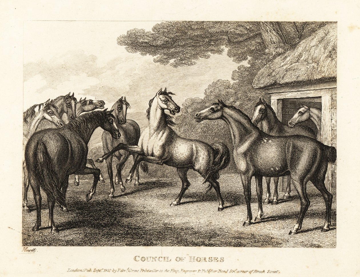 Un joven potro intenta provocar un motín en los establos. 1811 (grabado) de Samuel Howitt