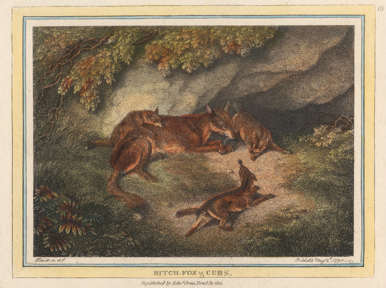 Zorra y cachorros de Samuel Howitt