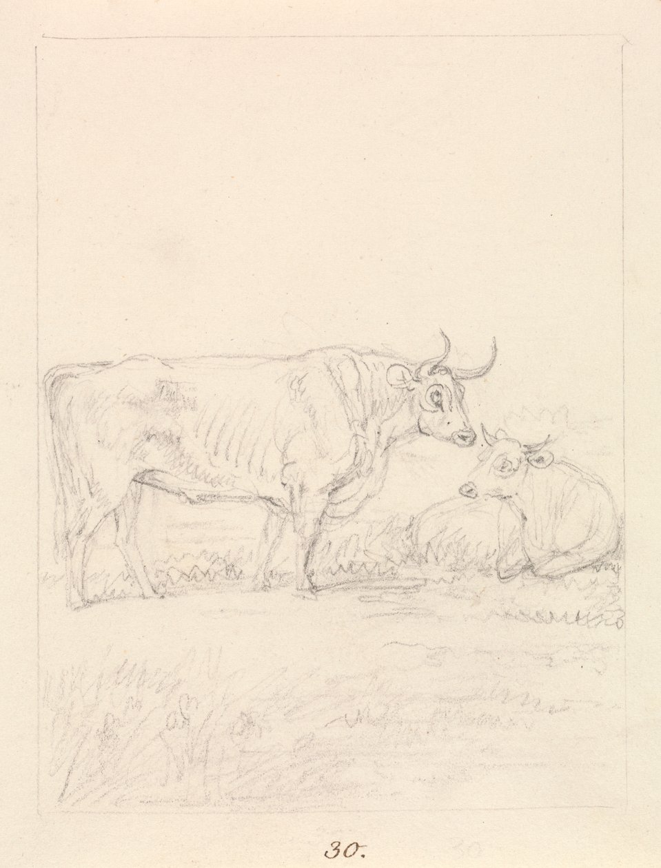 Toro y vaca de Samuel Howitt