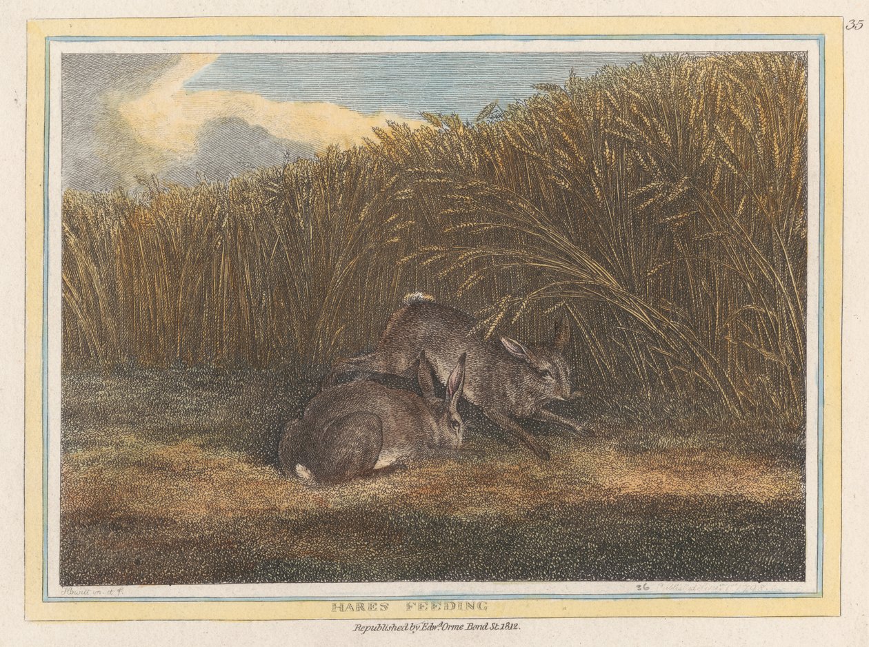 Alimentación de las liebres de Samuel Howitt