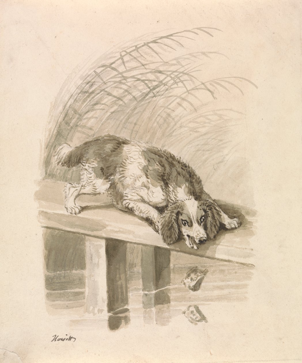 El perro y la sombra de Samuel Howitt