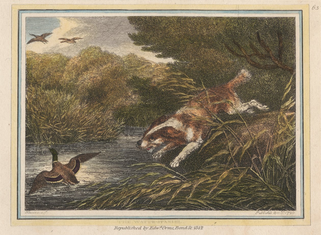 El perro de aguas de Samuel Howitt