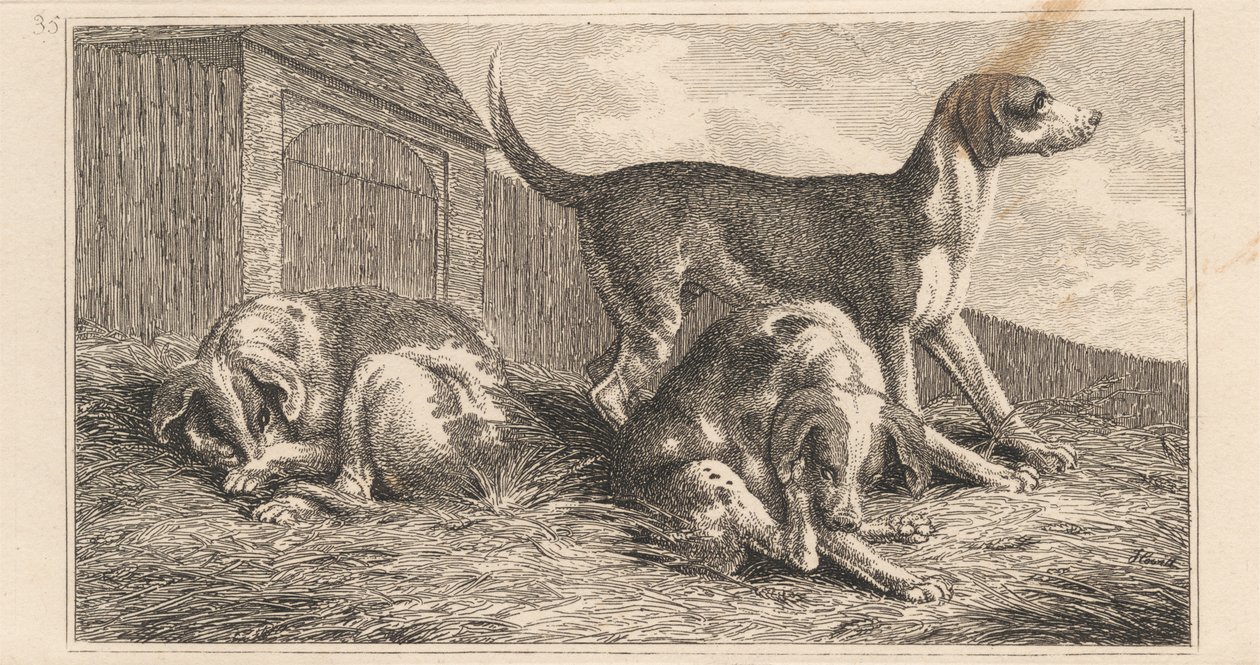 Tres perros de Samuel Howitt