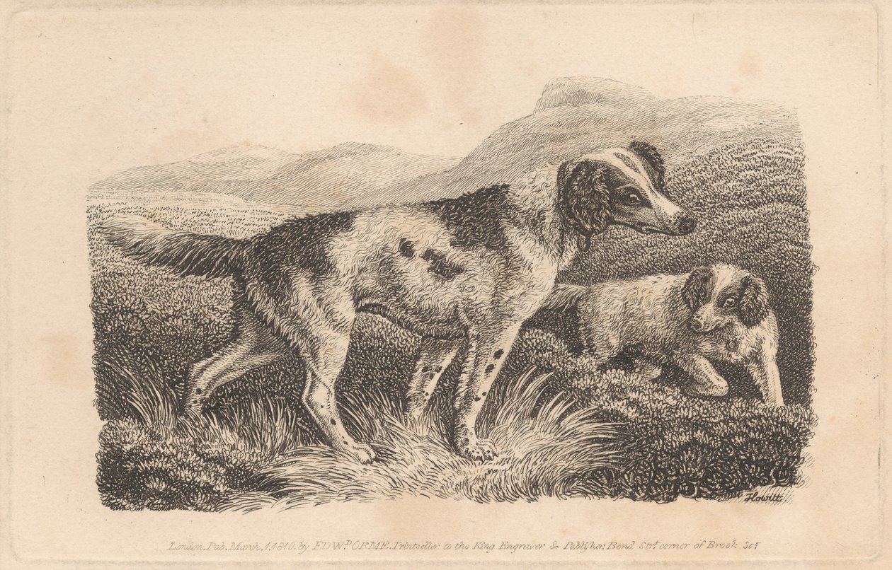 Dos perros de Samuel Howitt