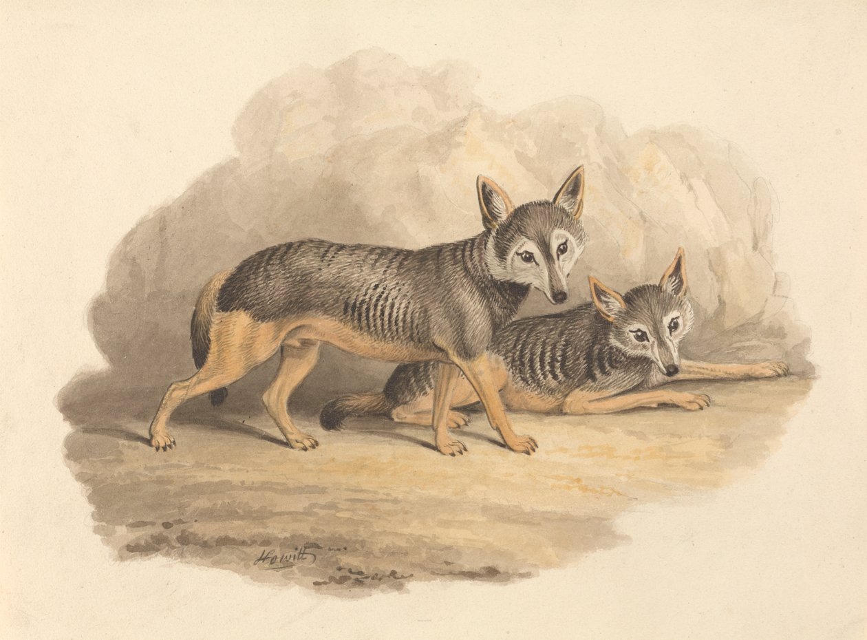 Dos hienas de Samuel Howitt