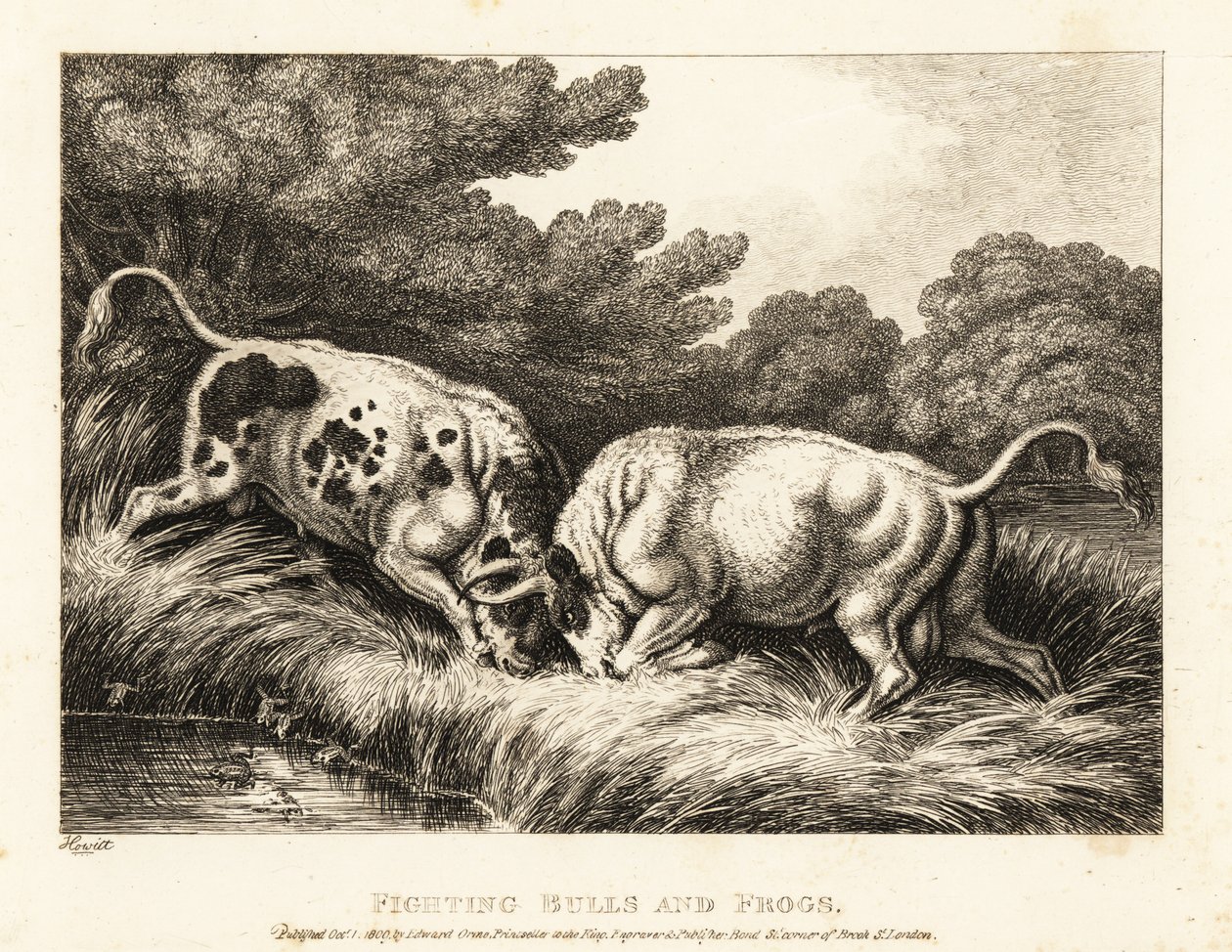 Dos toros trabando cuernos cerca de un estanque lleno de ranas. 1811 (grabado) de Samuel Howitt