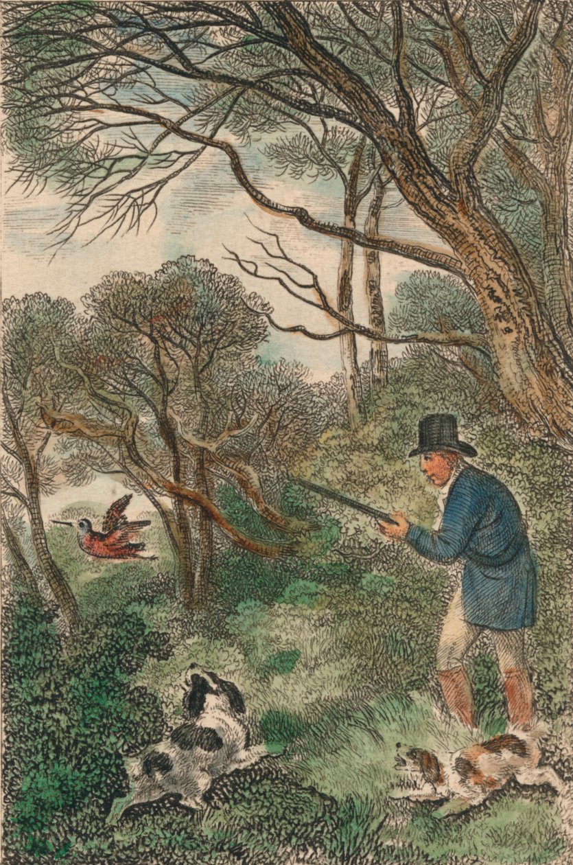 Caza de becadas, 1819 de Samuel Howitt