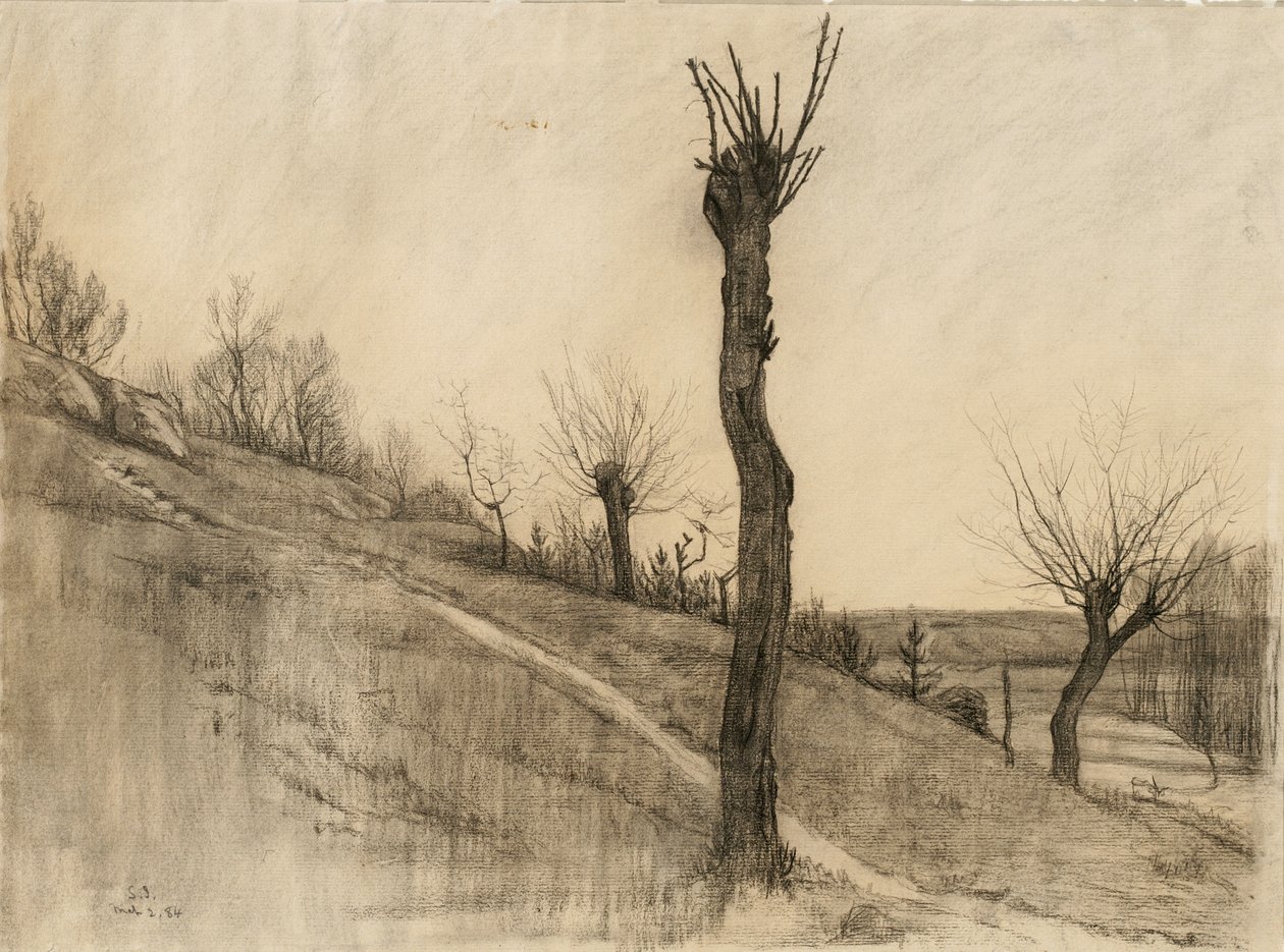 Paisaje de finales de invierno, 1884 de Samuel Isham