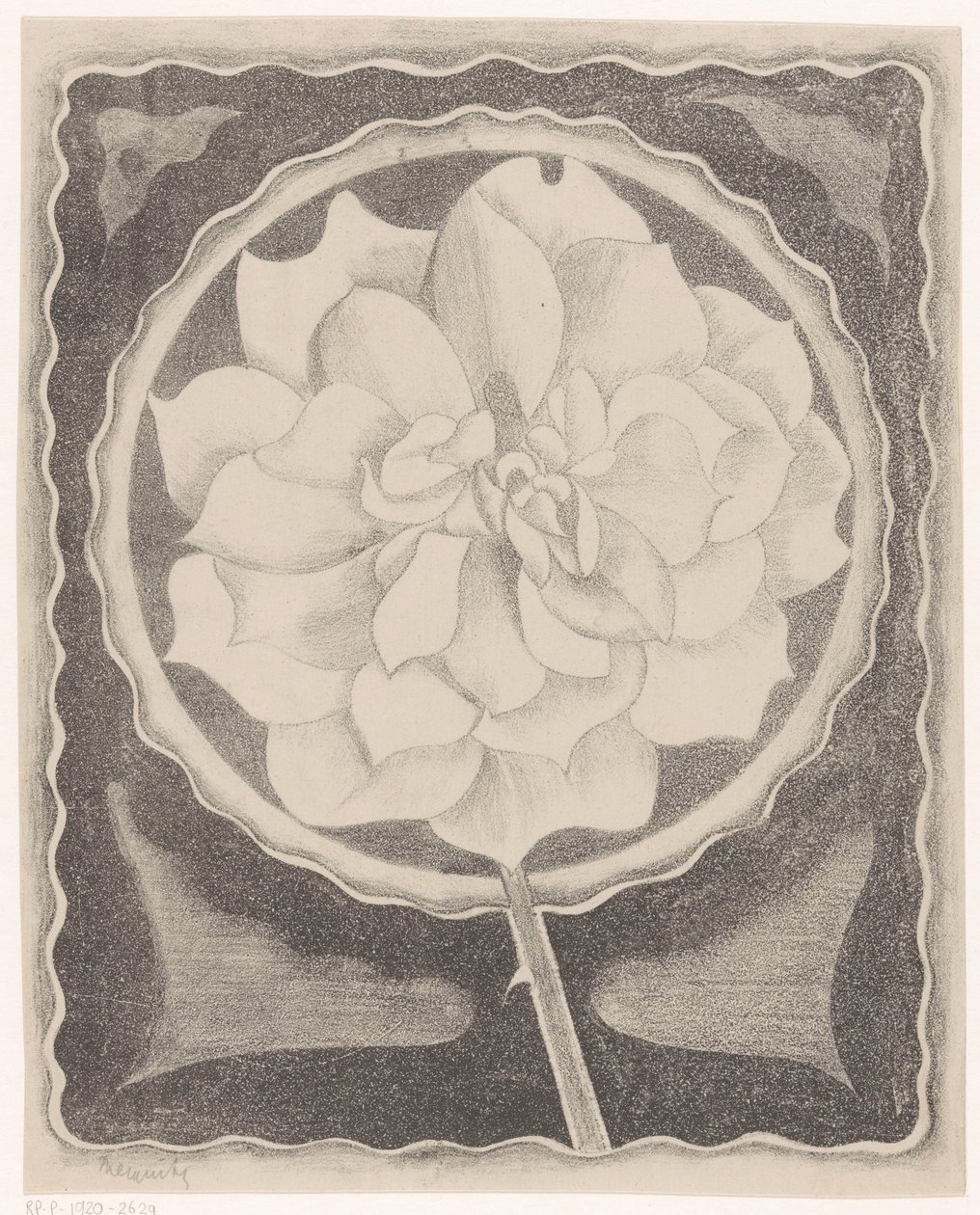 Roos de Samuel Jessurun de Mesquita (signed by artist)
