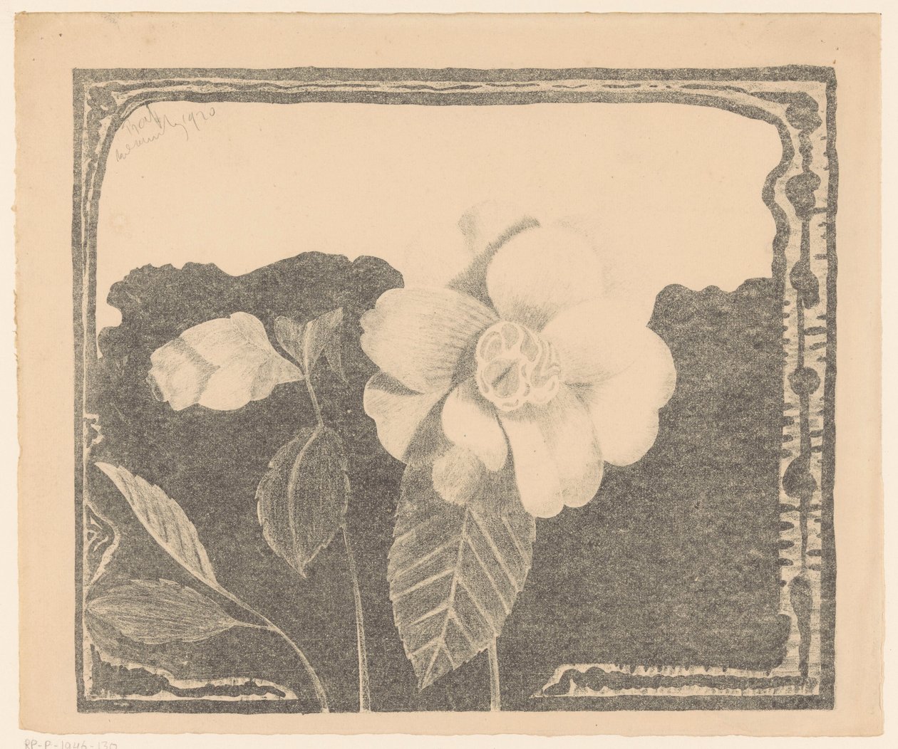 Camelia, dejó una flor en capullo de Samuel Jessurun de Mesquita