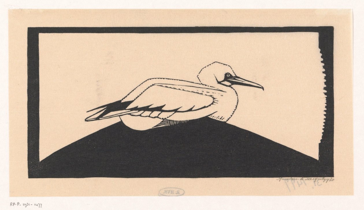 Gannet de Samuel Jessurun de Mesquita
