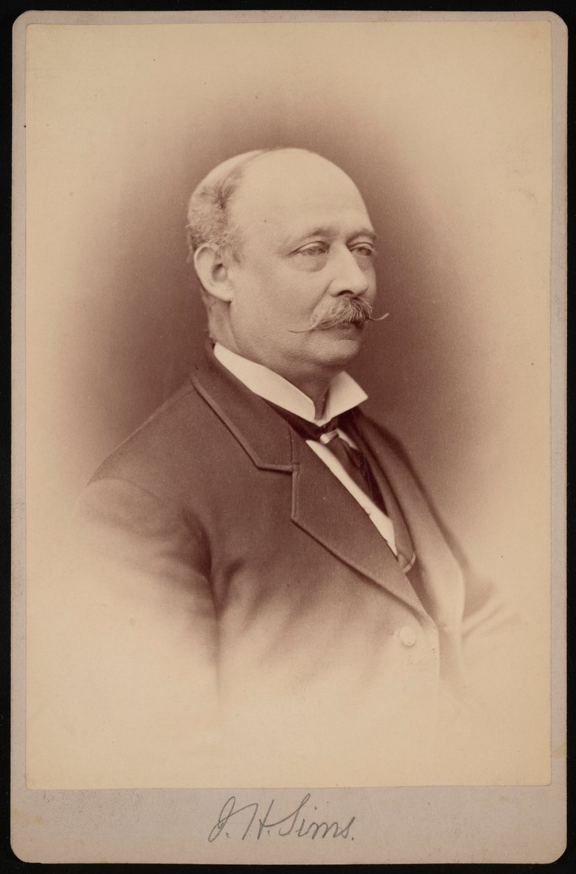 Retrato de J.H. Sims, entre 1876 y 1880 de Samuel Montague Fassett