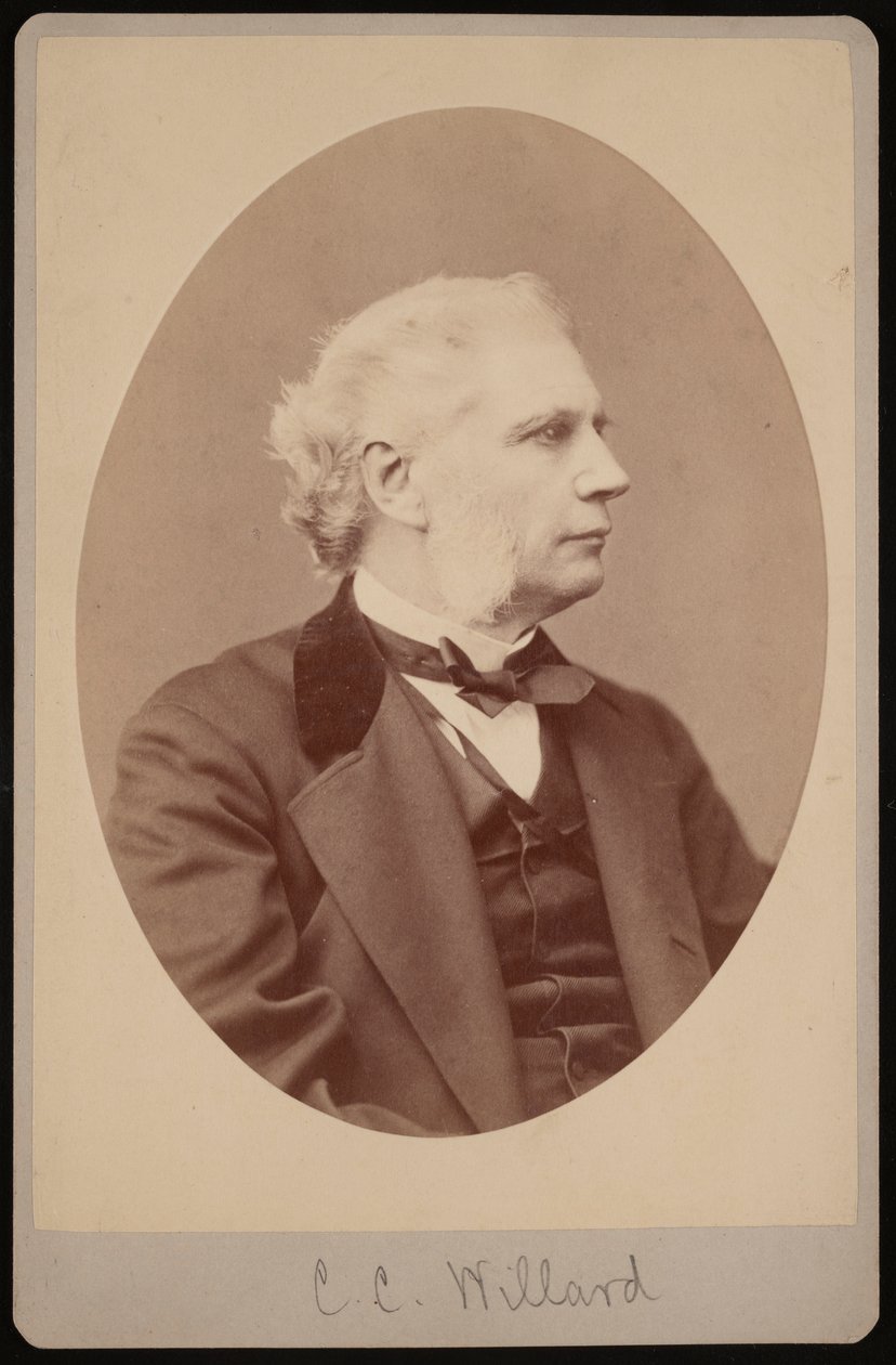 Retrato de Joseph Clapp Willard 1820-1897, 1878 de Samuel Montague Fassett