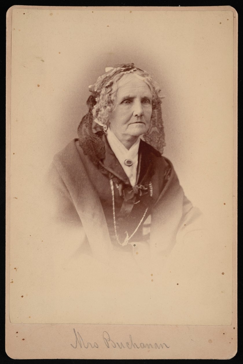 Retrato de la Sra. Buchanan, 1875 de Samuel Montague Fassett