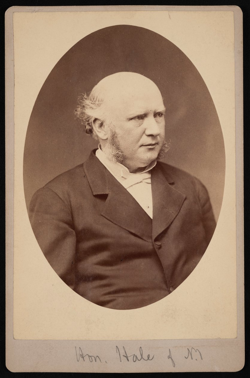 Retrato de Robert Safford Hale 1822-1881, antes de 1881 de Samuel Montague Fassett
