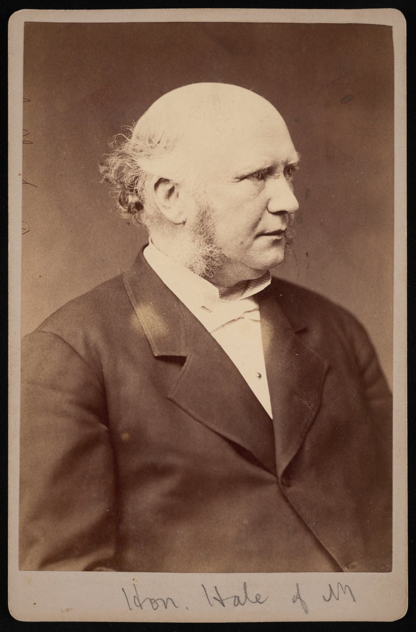 Retrato de Robert Safford Hale 1822-1881, antes de 1881 de Samuel Montague Fassett
