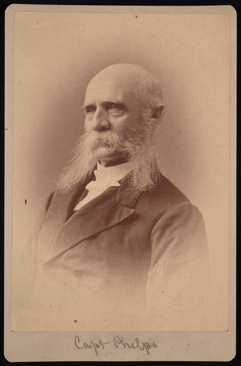 Retrato de Seth Ledyard Phelps 1824-1885, 1878 de Samuel Montague Fassett