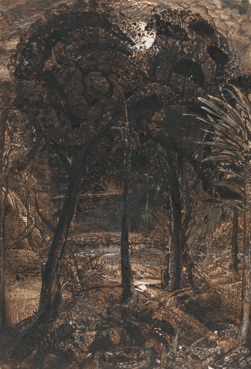 Una escena a la luz de la luna con un río serpenteante de Samuel Palmer