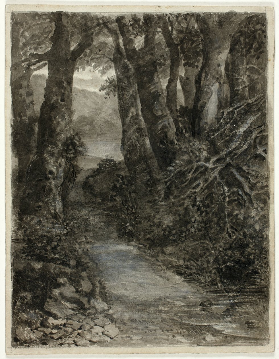 Estudio de un bosque de Samuel Palmer