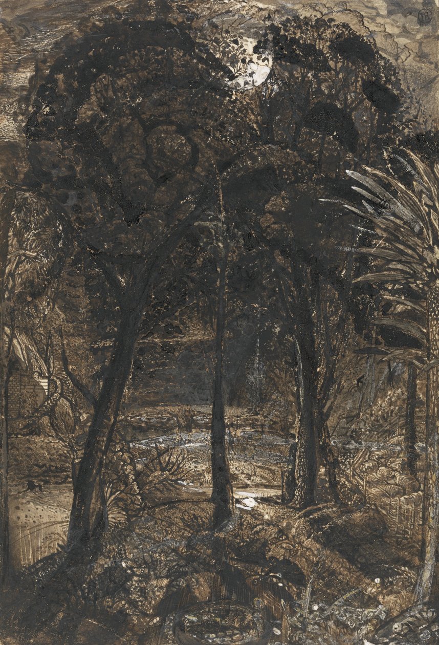 Escena a la luz de la luna con un río serpenteante de Samuel Palmer