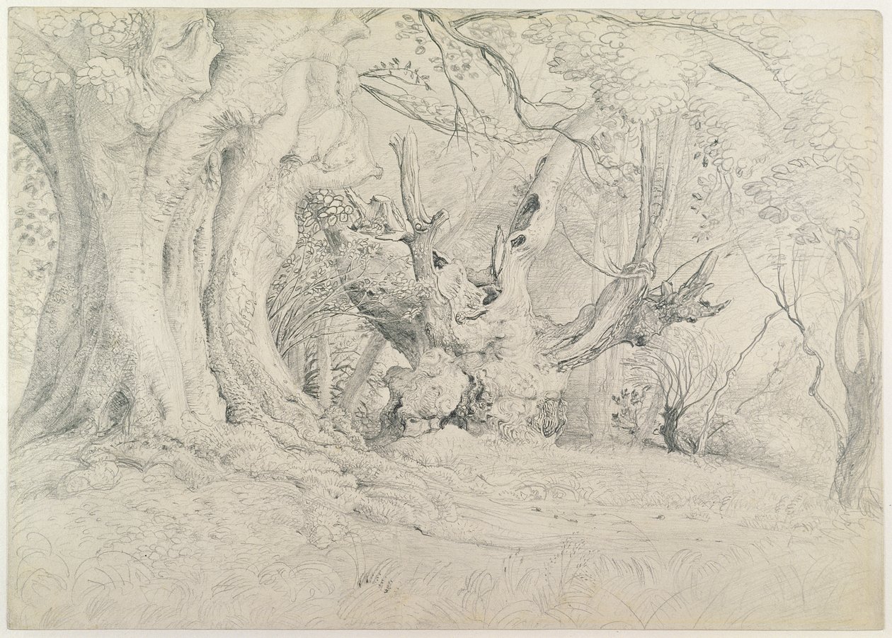 Árboles antiguos, Parque Lullingstone, 1828 de Samuel Palmer