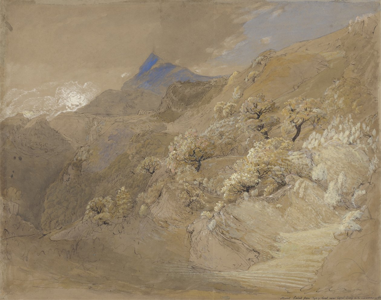 Monte Siabod desde Tyn-y-Coed cerca de Capel Curig de Samuel Palmer