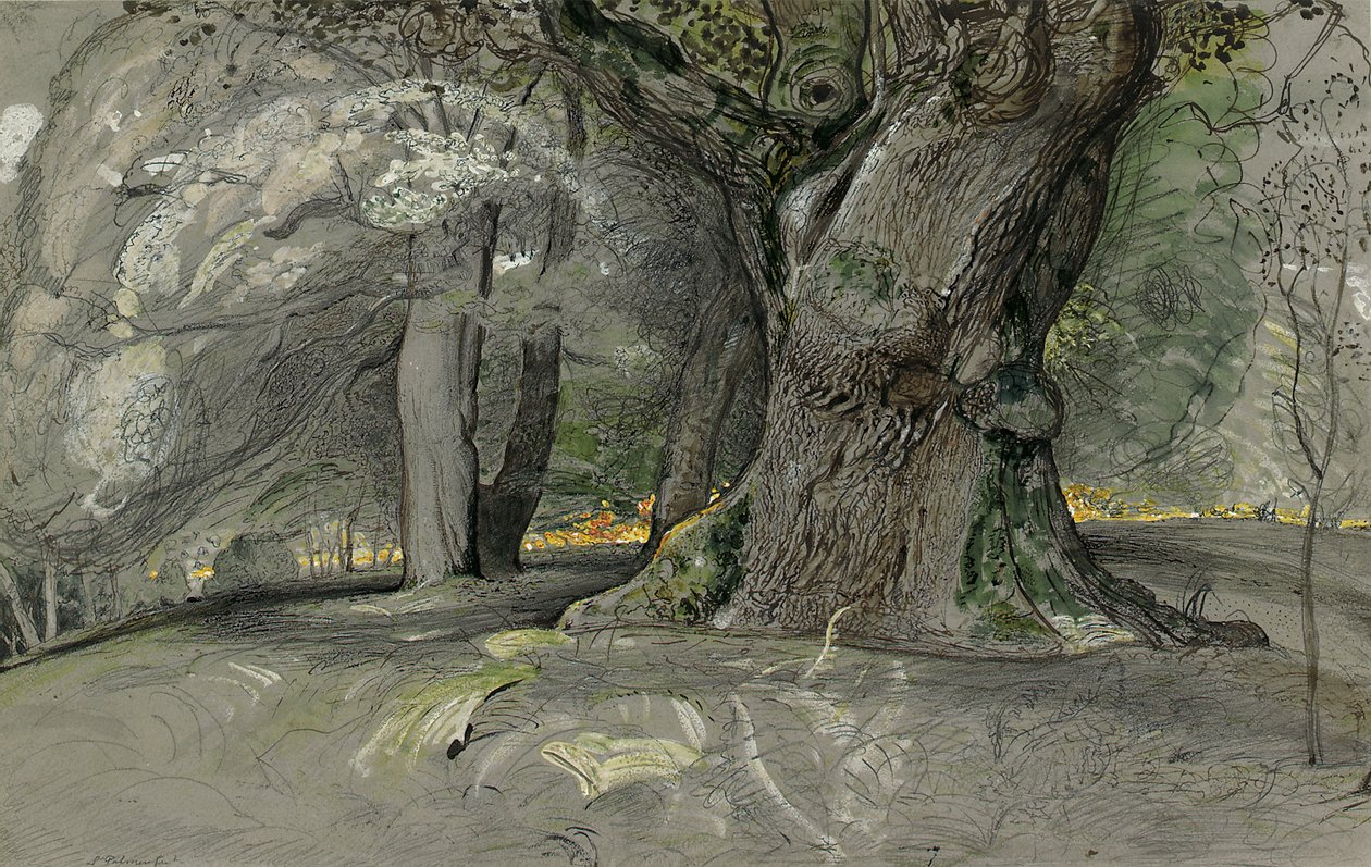 Roble y haya, Parque Lullingstone de Samuel Palmer