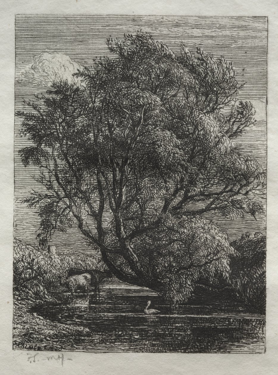 El sauce de Samuel Palmer