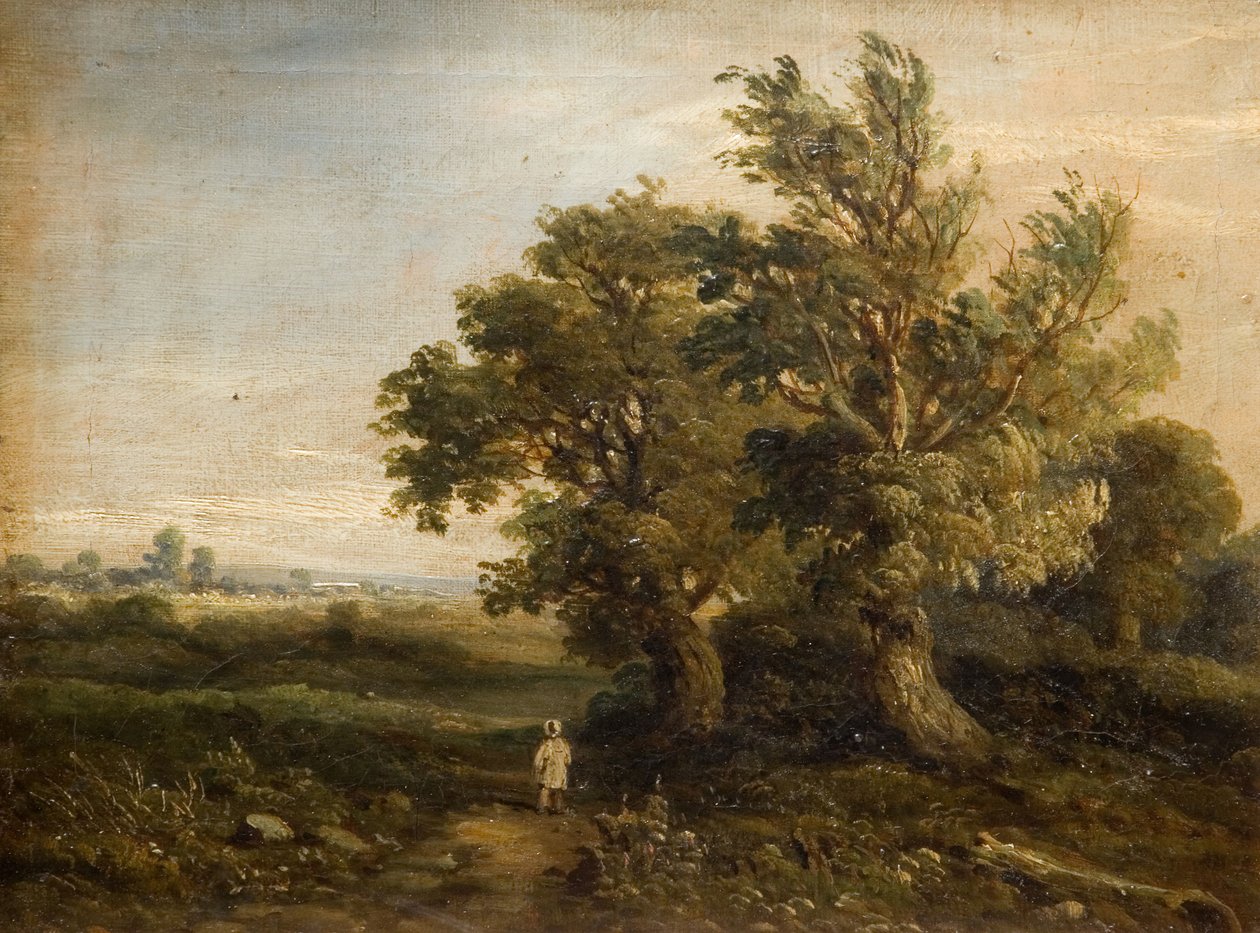 Paisaje con árboles, 1863 de Samuel Restell Lines