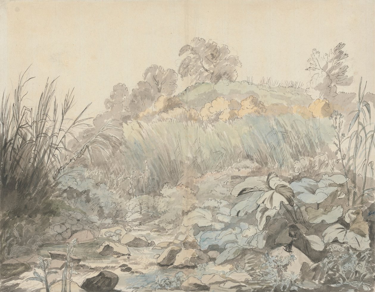 Un arroyo rocoso de Samuel Woodforde