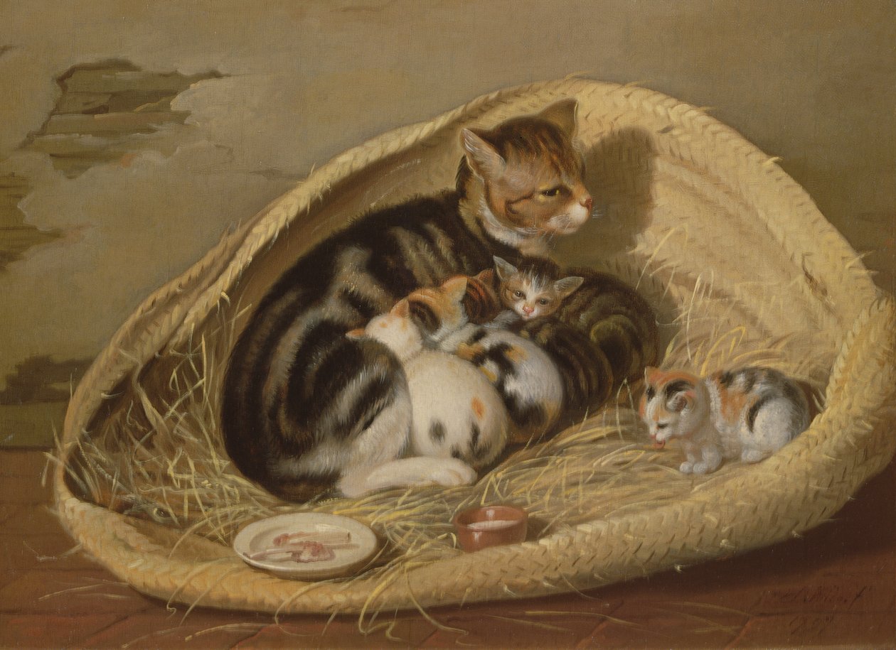 Gata con sus Gatitos en una Cesta, 1797 de Samuel de Wilde