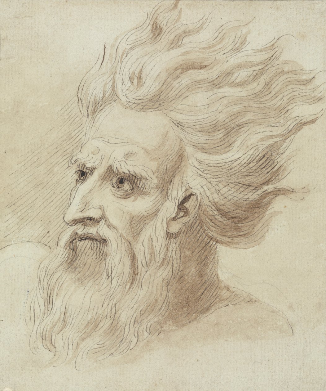 Cabeza de hombre con barba y pelo largo al viento de Samuel de Wilde
