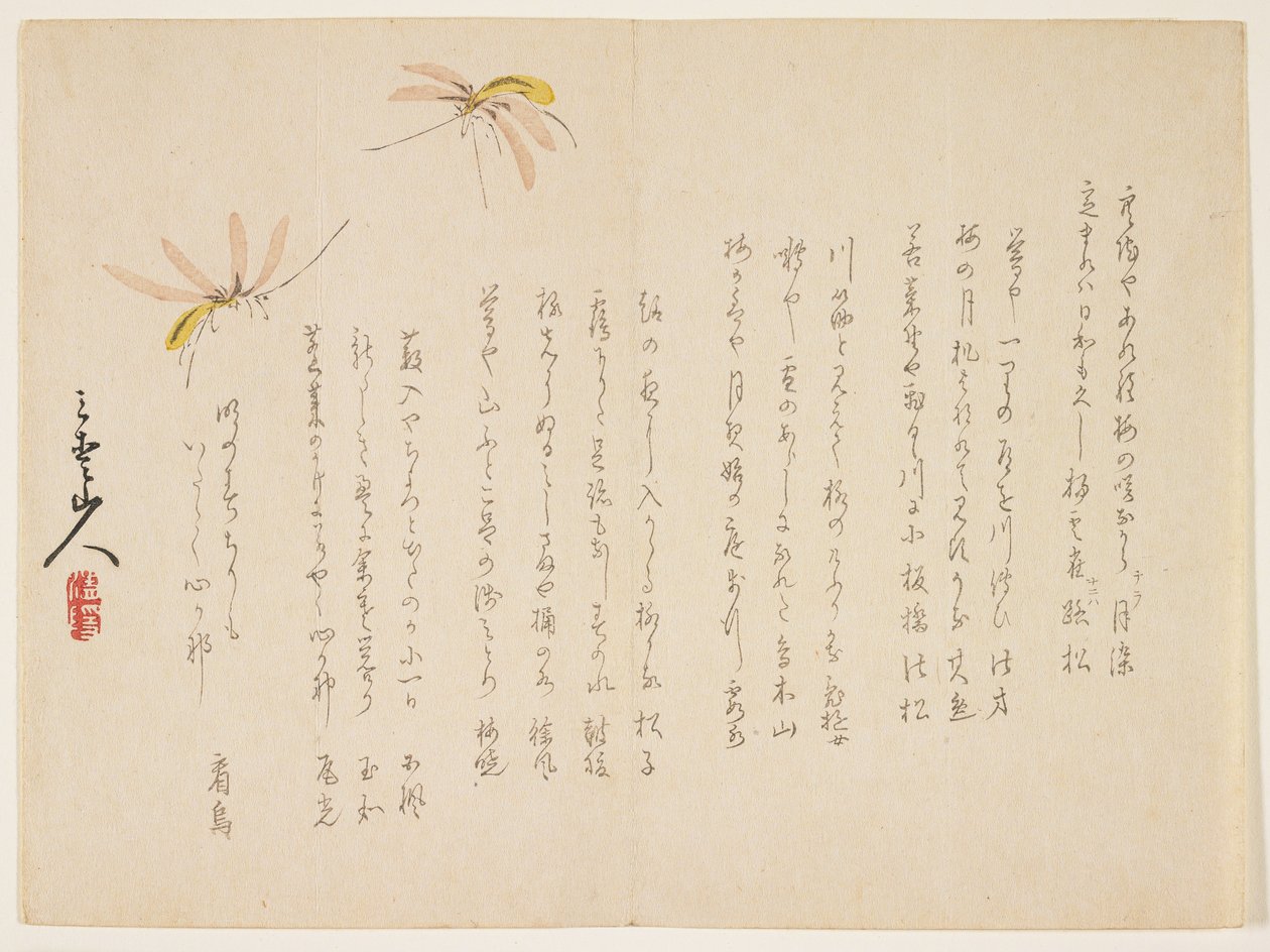 Mosquitos de Sanai sanjin