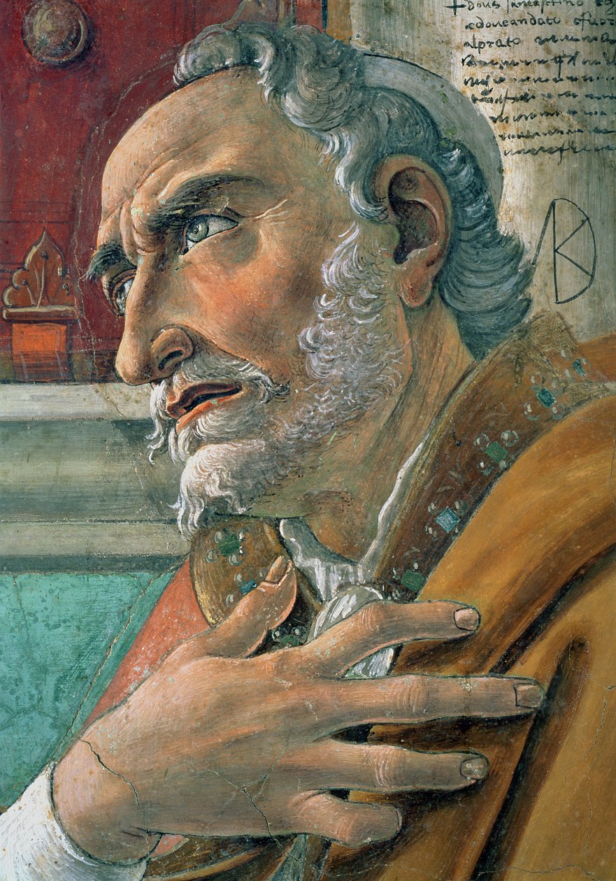 (detalle) de San Agustín en su Estudio, 1480 de Sandro Botticelli