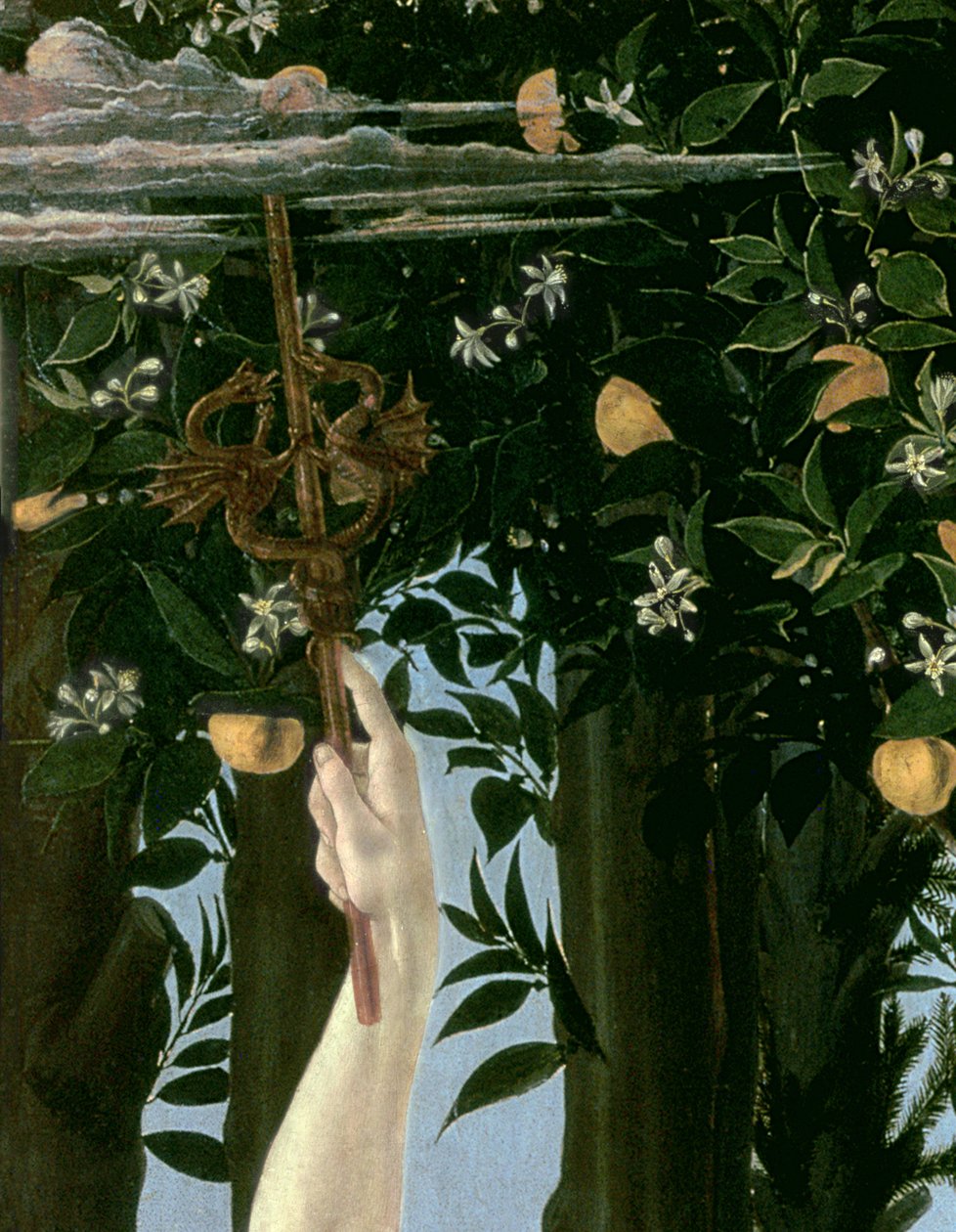 Primavera, c.1478 (detalle) de Sandro Botticelli