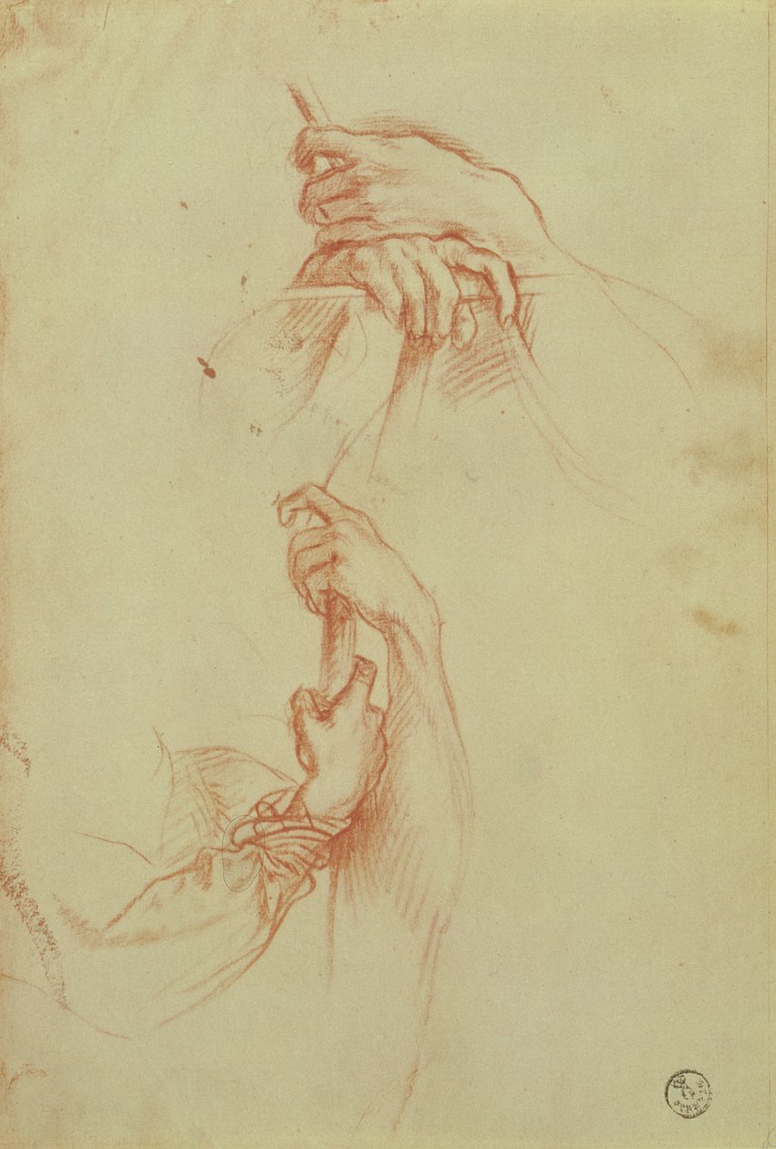 Dos estudios de las manos de un joven de Sandro Botticelli