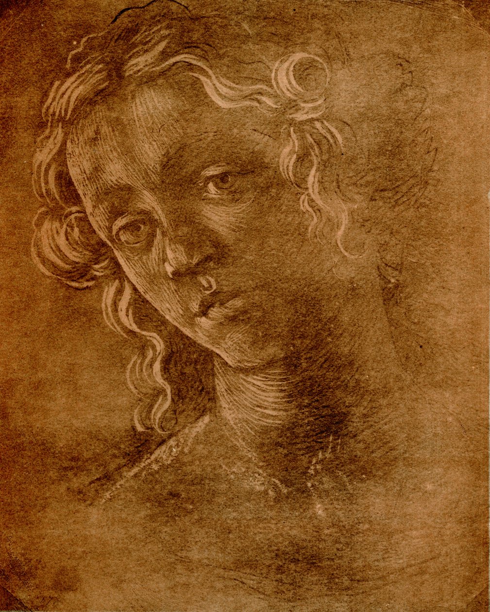 Cabeza femenina de Sandro Botticelli