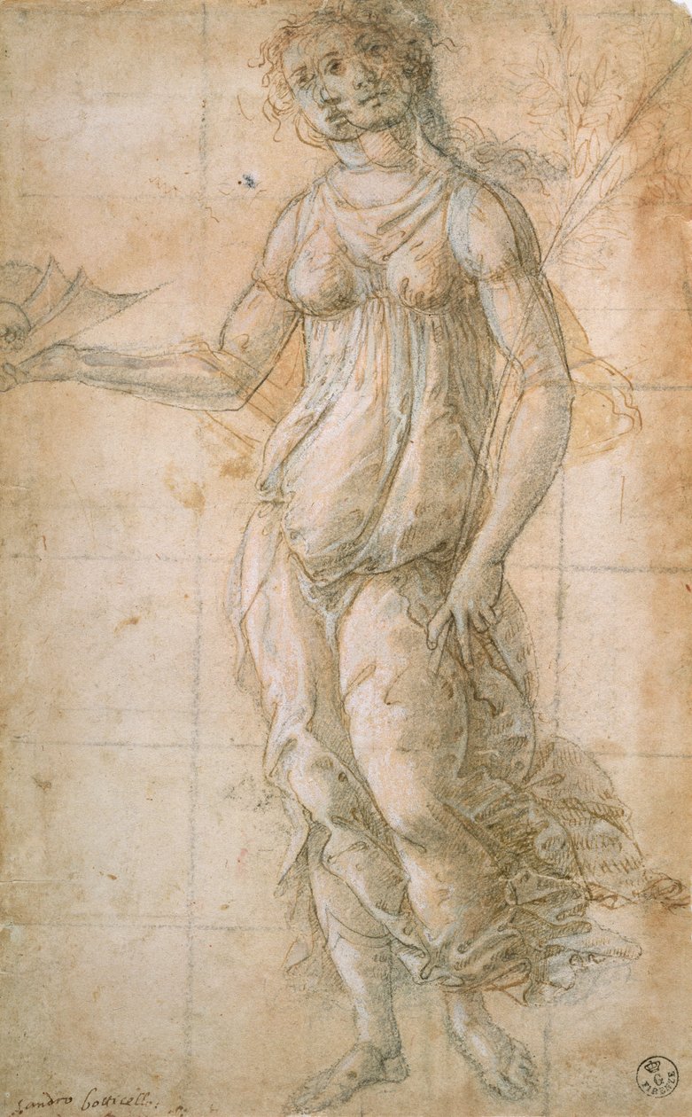 Estudio de Atenea de Sandro Botticelli