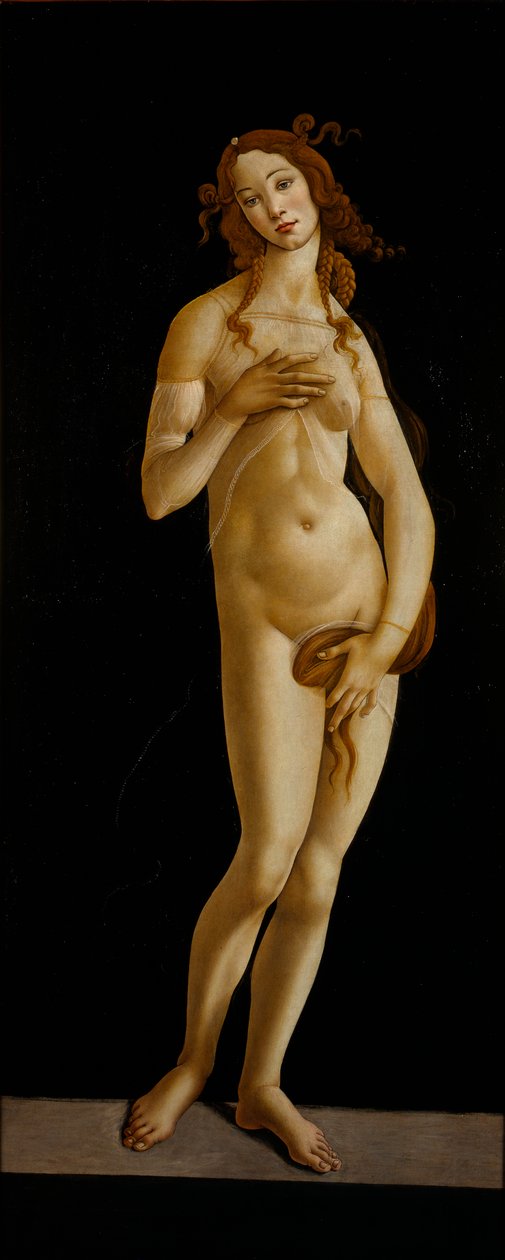 Venus Pudica, ca 1485-1490 de Sandro Botticelli