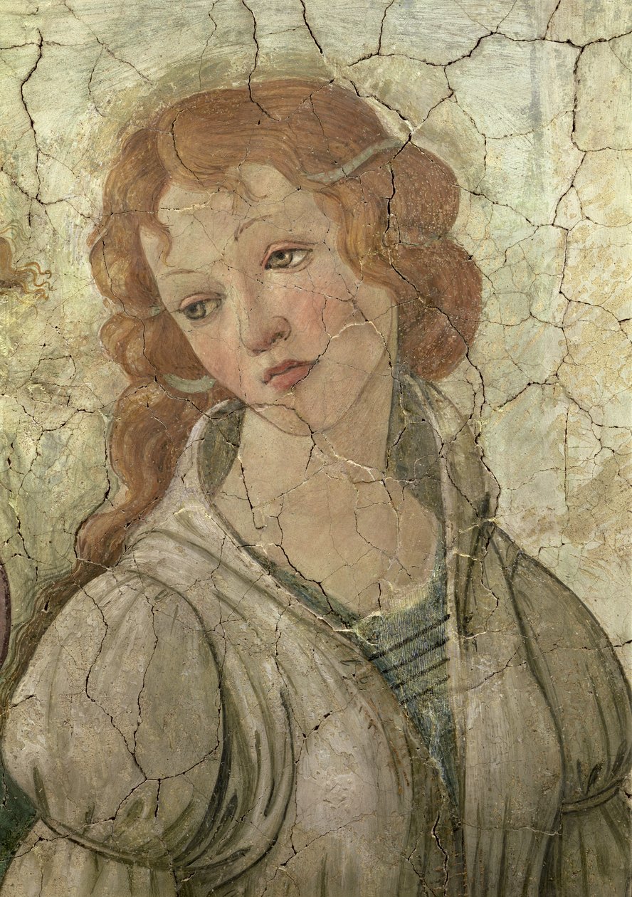 Venus y las Tres Gracias Ofreciendo Regalos a una Joven (detalle) de Sandro Botticelli