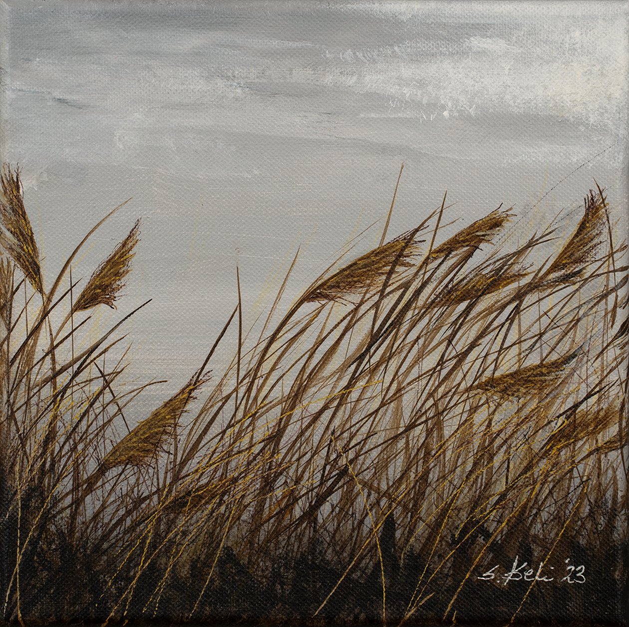  de Sandy Iseli