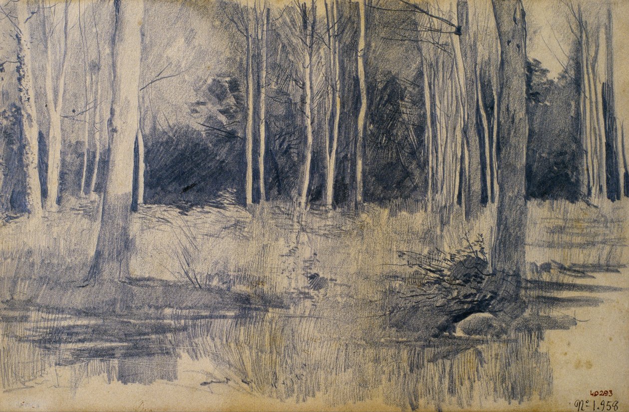 Arboleda de Santiago Rusiñol