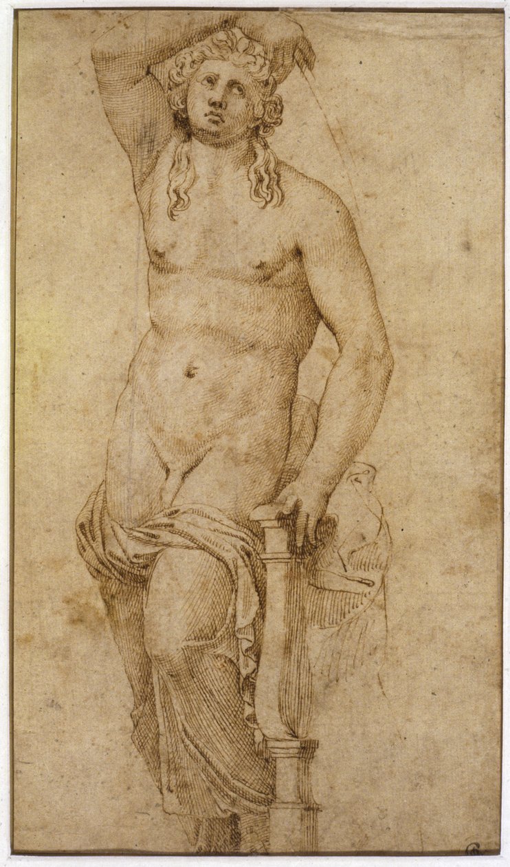 Apolo de Raffaello Sanzio Raphael