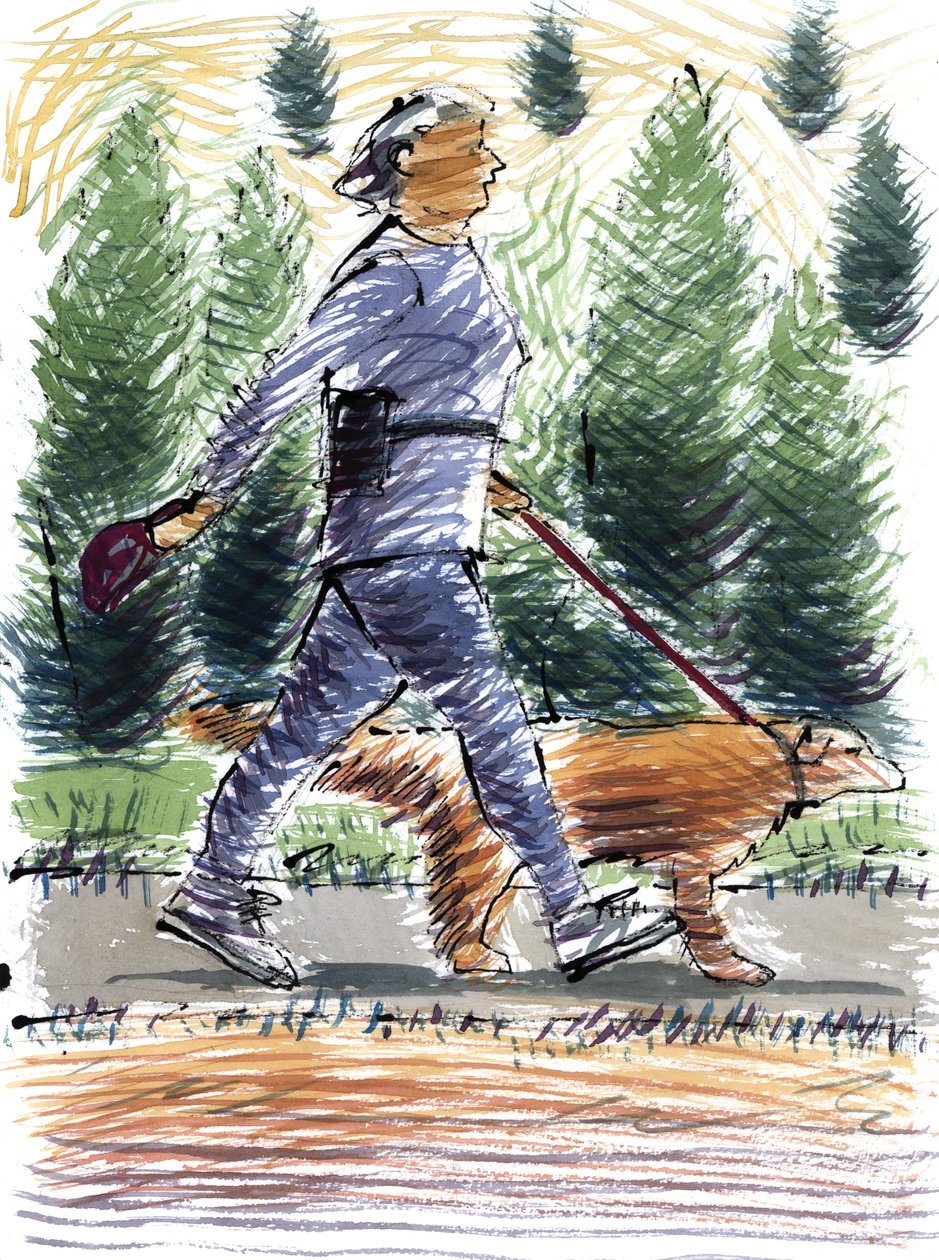 Paseando al perro, 2009 de Sara Hayward