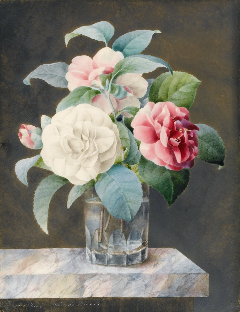 Un jarrón de cristal cortado con camelias blancas, rosas y rojas sobre una losa de mármol veteado de Sarah Bray