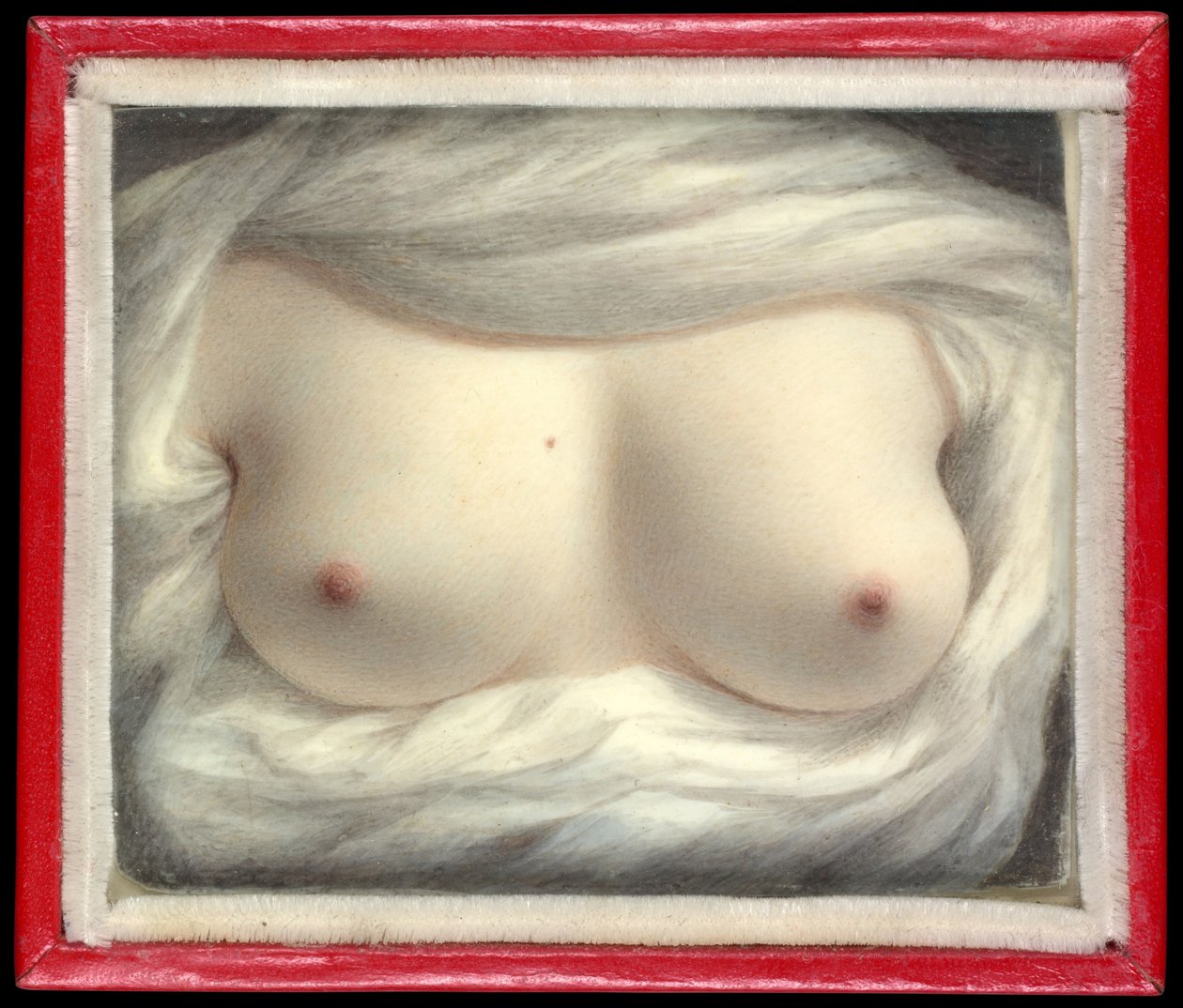 Belleza revelada de Sarah Goodridge
