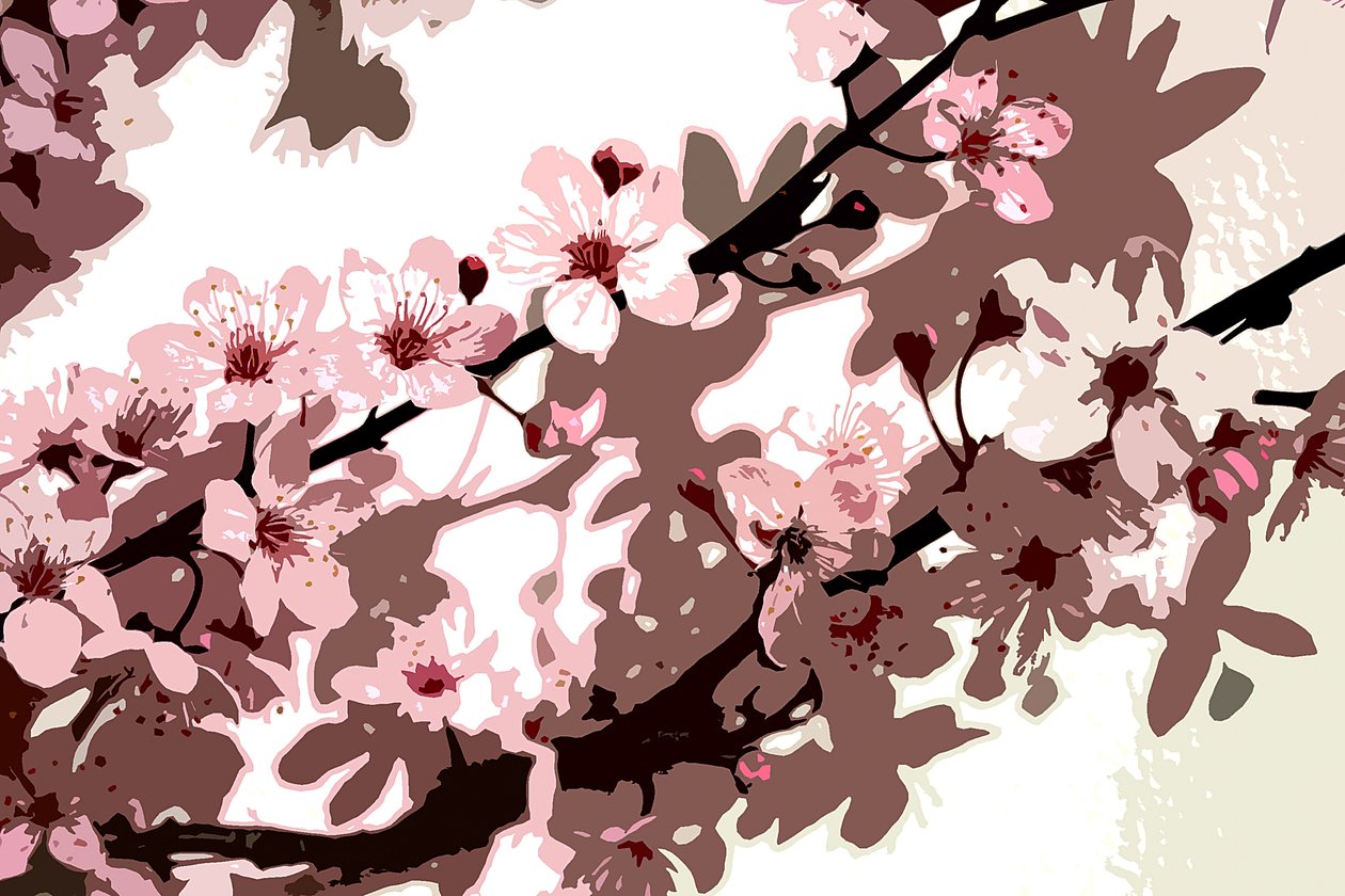 Flor de Japón de Sarah OToole