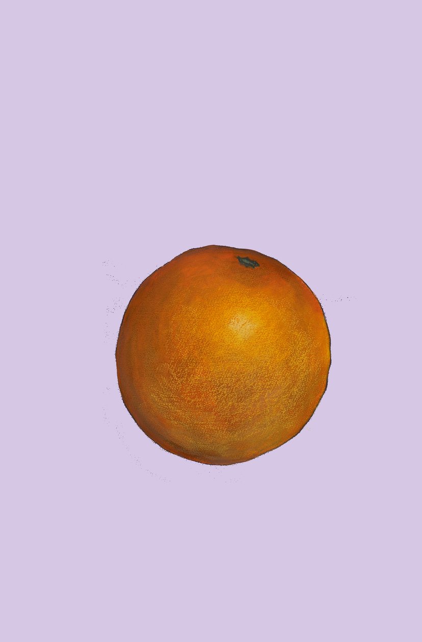 Naranja, 2007 de Sarah Thompson Engels